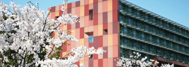 campus-blossom-2.1f5be76d.jpg campus-blossom-2.1f5be76d.jpg