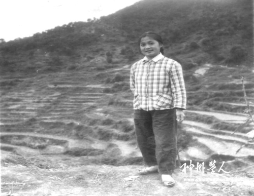 圖片2.png 圖片2.png