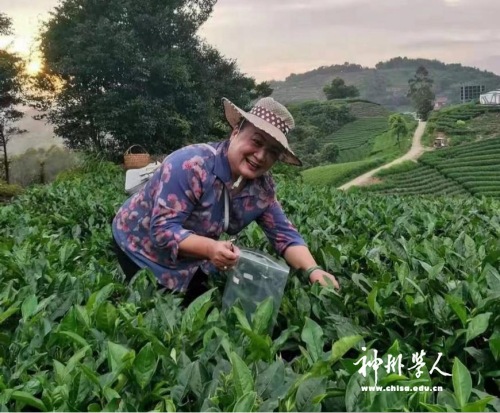 圖片4.png 圖片4.png