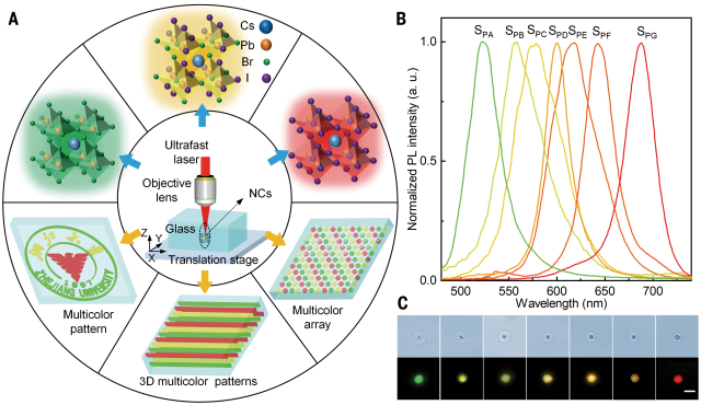 微信圖片_20220121154927.jpg 微信圖片_20220121154927.jpg