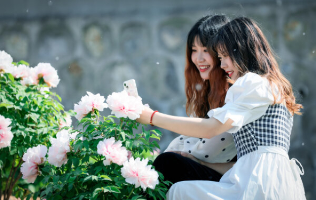 readimg.jpg readimg.jpg