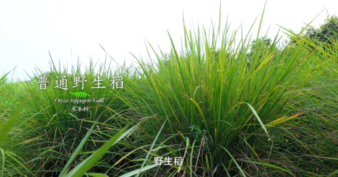 微信圖片_20220429141723.png 微信圖片_20220429141723.png