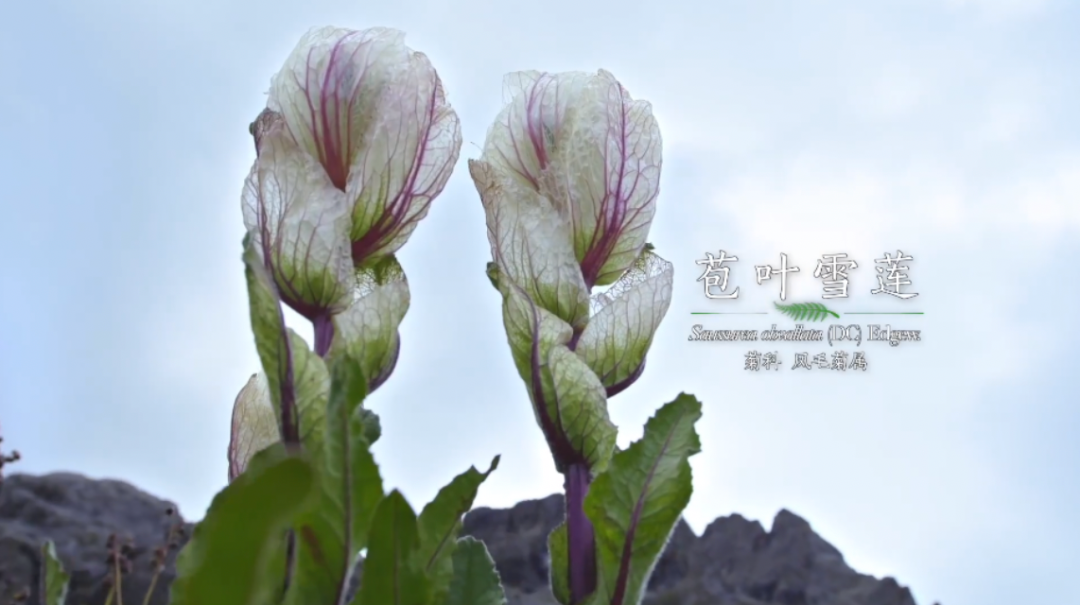 微信圖片_20220429142013.png 微信圖片_20220429142013.png