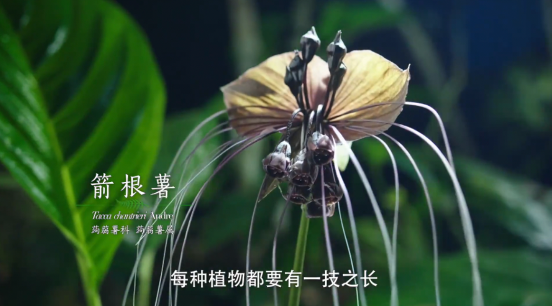 微信圖片_20220429142137.png 微信圖片_20220429142137.png