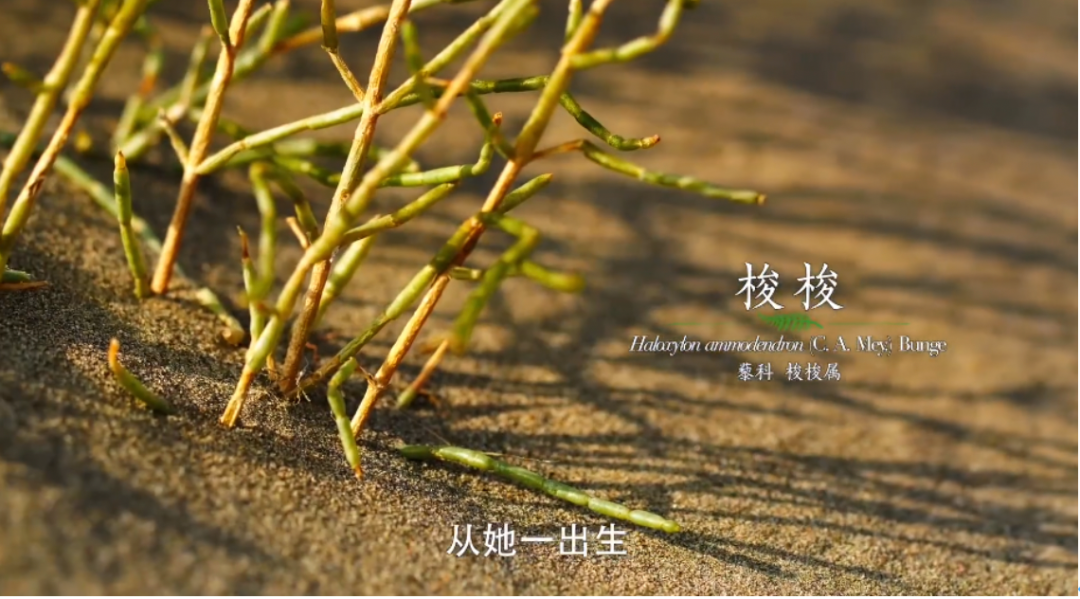 微信圖片_20220429142405.png 微信圖片_20220429142405.png