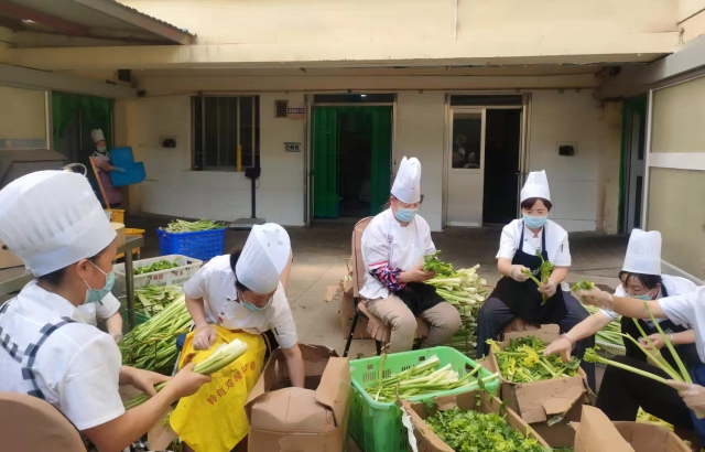 餐飲圖片1——撿菜.jpg 餐飲圖片1——撿菜.jpg