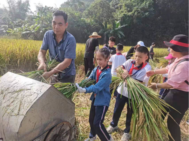 稻谷.png 稻谷.png