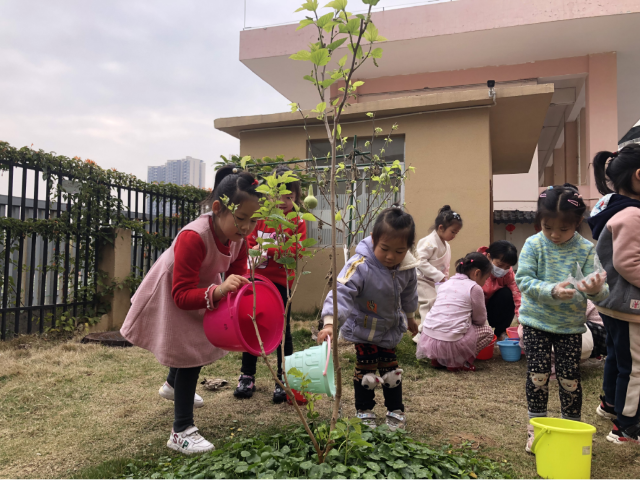 幼兒園.png 幼兒園.png