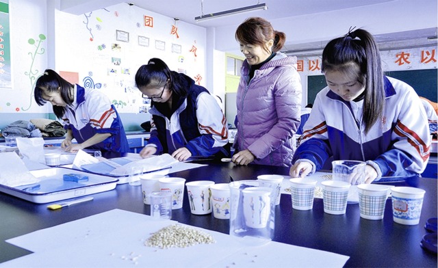 臨澤職教中心農(nóng)學(xué)專業(yè)學(xué)生分揀種子實訓(xùn)(張掖市教育局供稿).jpg 臨澤職教中心農(nóng)學(xué)專業(yè)學(xué)生分揀種子實訓(xùn)(張掖市教育局供稿).jpg