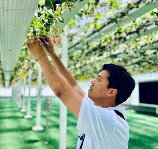 傅昊韋創(chuàng)新技術(shù)優(yōu)化草莓種植 學校供圖.jpg