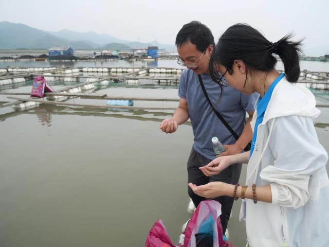 寧波大學(xué)海洋學(xué)院深耕黃金海岸隊調(diào)研考察大黃魚人工養(yǎng)殖情況 學(xué)校供圖.jpg