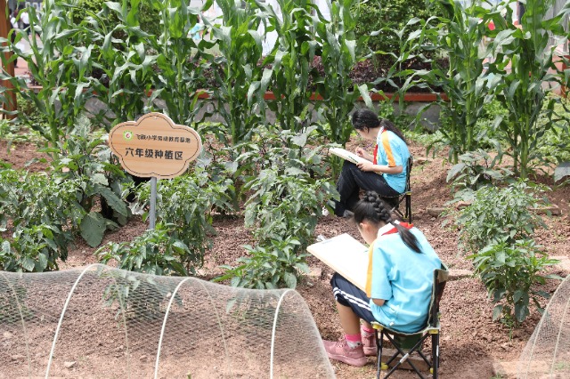 2024051717159338903392370.jpg 2024051717159338903392370.jpg