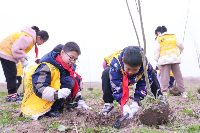 寧波慈溪學(xué)子在現(xiàn)代農(nóng)業(yè)生態(tài)產(chǎn)業(yè)園植樹 慈溪市學(xué)生成長指導(dǎo)中心供圖.jpg