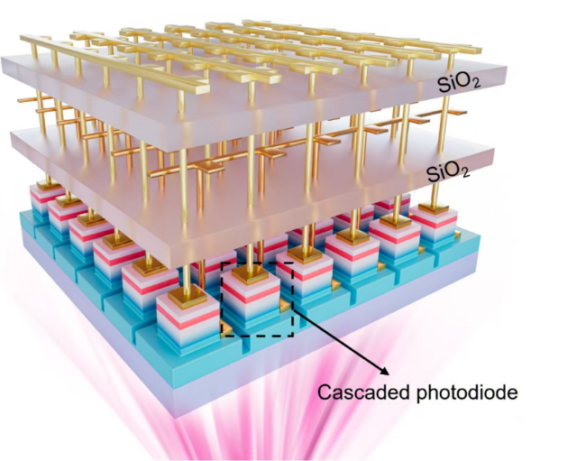 圖片1.png 圖片1.png