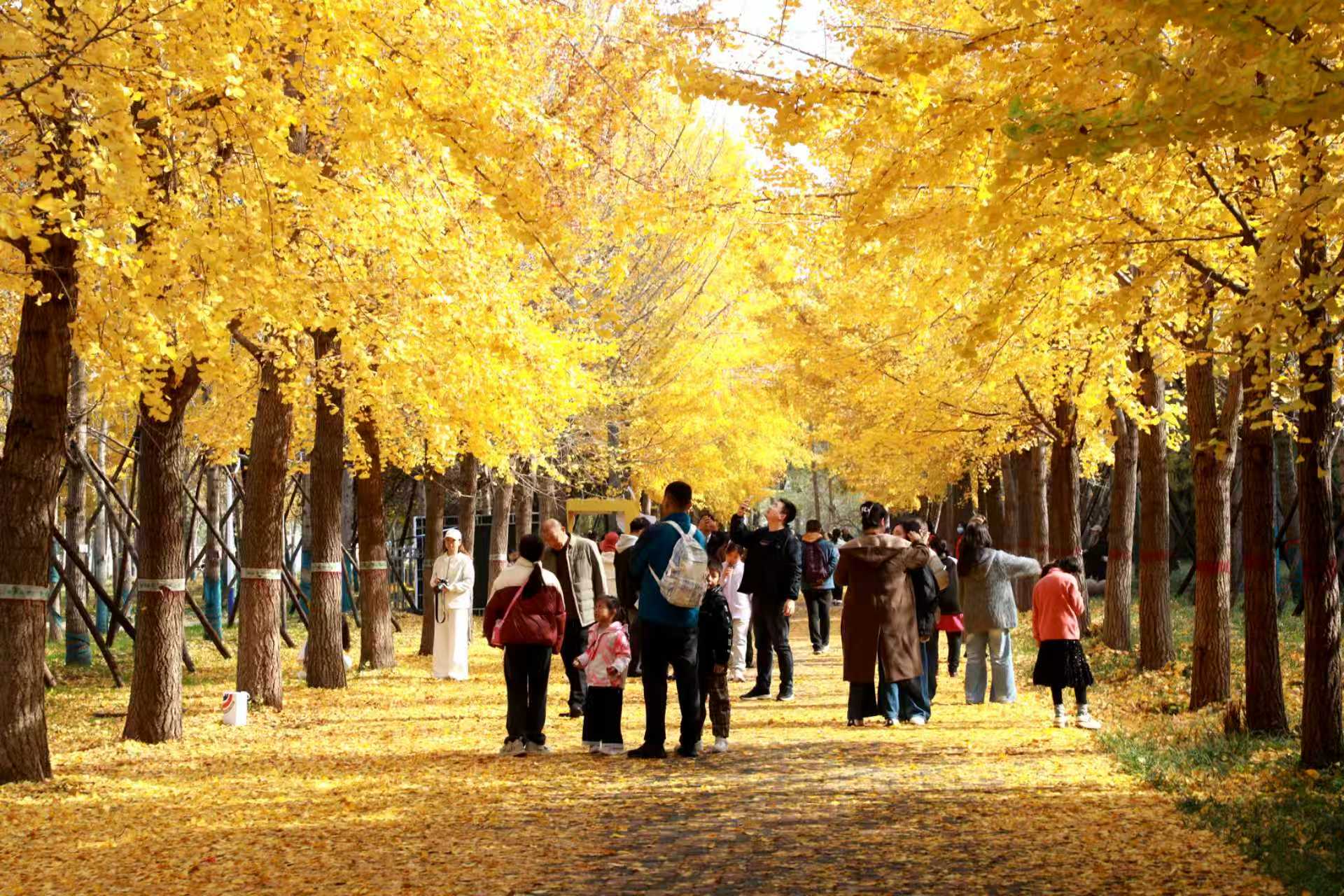 微信圖片_20251109093458_11_2.jpg 微信圖片_20251109093458_11_2.jpg